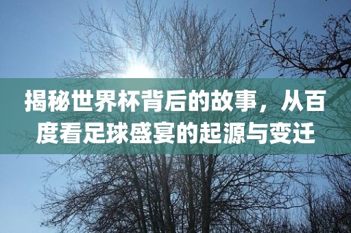 揭秘世界杯背后的故事，从百度看足球盛宴的起源与变迁