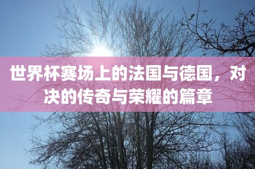 世界杯赛场上的法国与德国，对决的传奇与荣耀的篇章