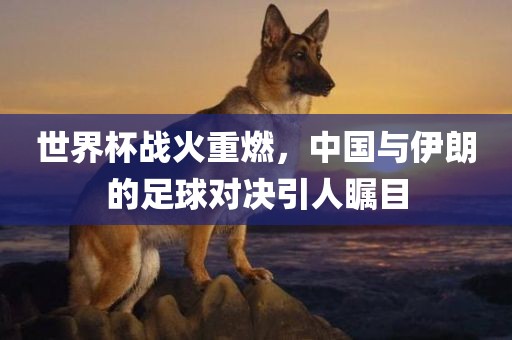 世界杯战火重燃，中国与伊朗的足球对决引人瞩目