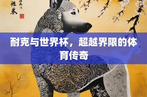 耐克与世界杯，超越界限的体育传奇
