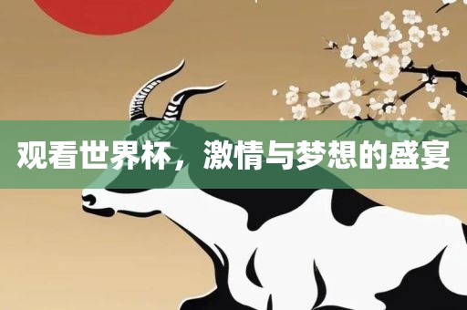 观看世界杯，激情与梦想的盛宴