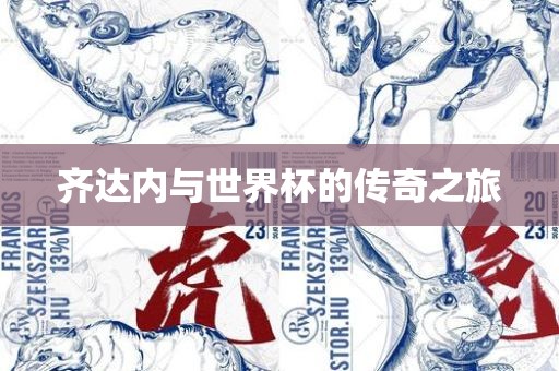 齐达内与世界杯的传奇之旅