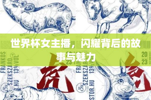 世界杯女主播，闪耀背后的故事与魅力