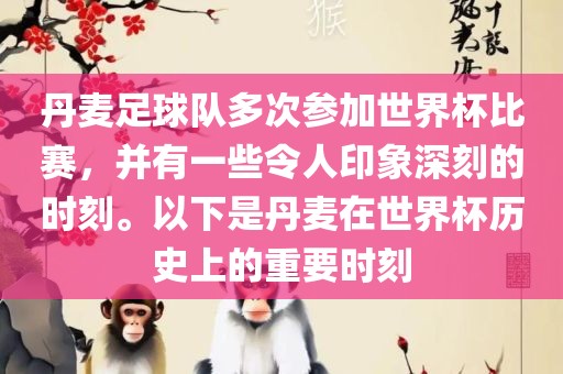 丹麦足球队