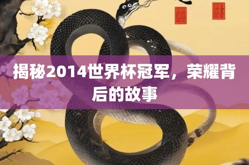 揭秘2014世界杯冠军，荣耀背后的故事