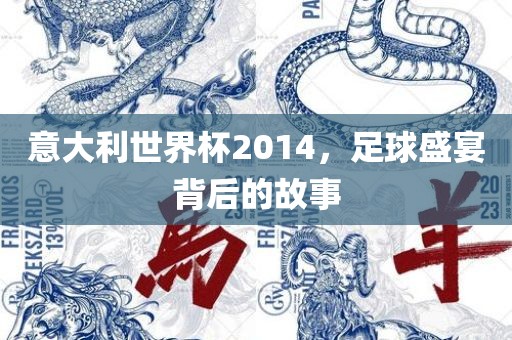 意大利世界杯2014，足球盛宴背后的故事