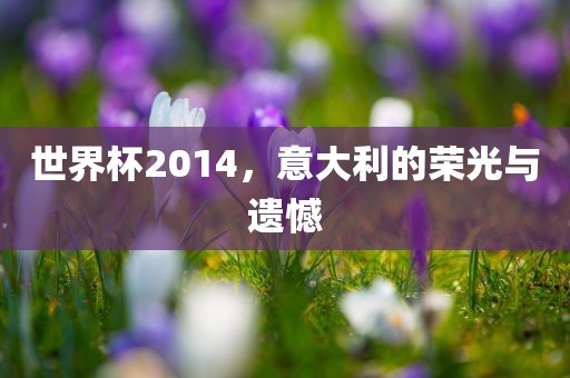 世界杯2014，意大利的荣光与遗憾