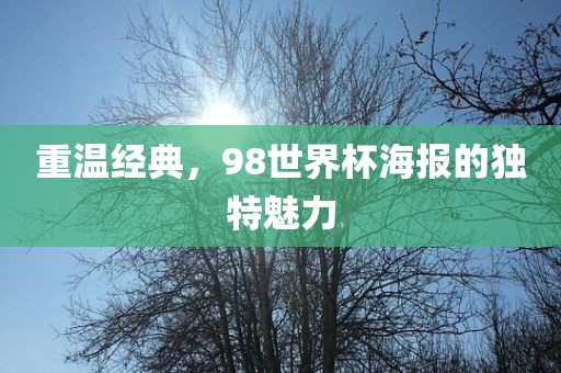 重温经典，98世界杯海报的独特魅力