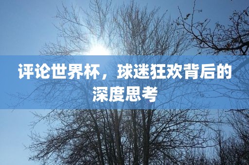 评论世界杯，球迷狂欢背后的深度思考