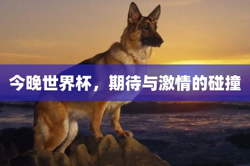 今晚世界杯，期待与激情的碰撞