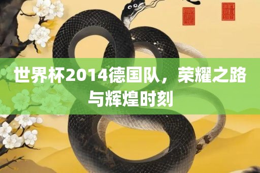 世界杯2014德国队，荣耀之路与辉煌时刻