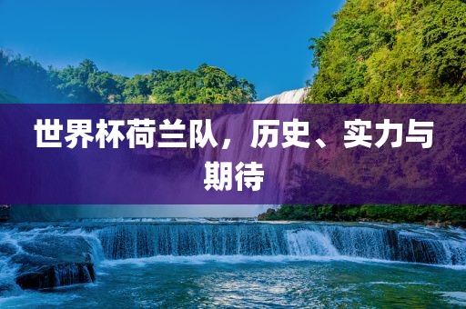 世界杯荷兰队，历史、实力与期待