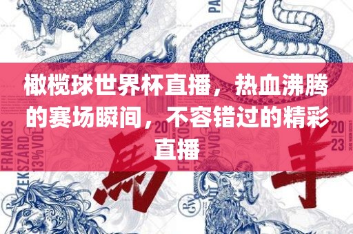 橄榄球世界杯直播，热血沸腾的赛场瞬间，不容错过的精彩直播