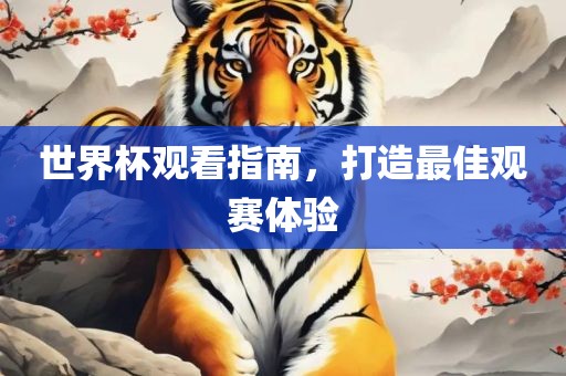 世界杯观看指南，打造最佳观赛体验