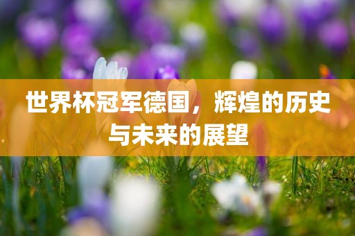 世界杯冠军德国，辉煌的历史与未来的展望