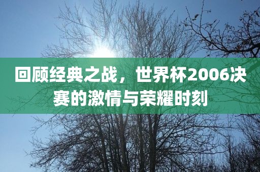回顾经典之战，世界杯2006决赛的激情与荣耀时刻