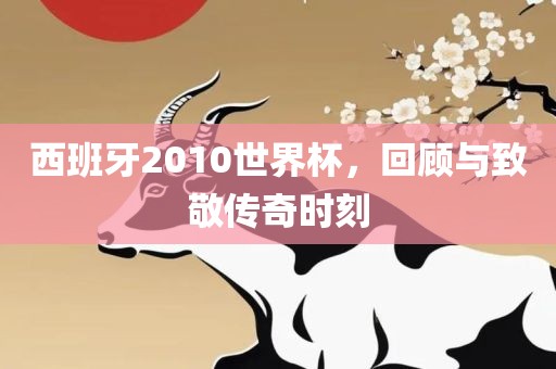 西班牙2010世界杯，回顾与致敬传奇时刻