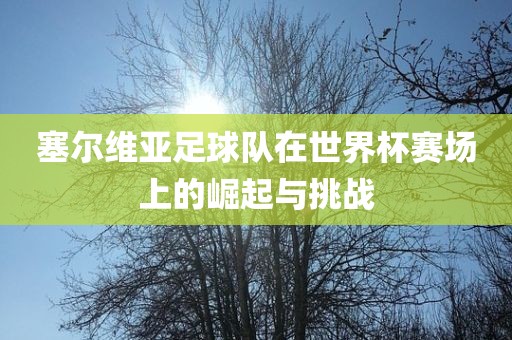 塞尔维亚足球队在世界杯赛场上的崛起与挑战