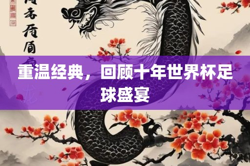 重温经典，回顾十年世界杯足球盛宴