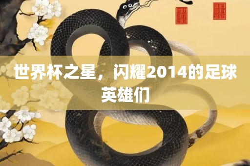 世界杯之星，闪耀2014的足球英雄们