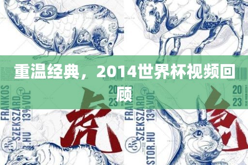 重温经典，2014世界杯视频回顾