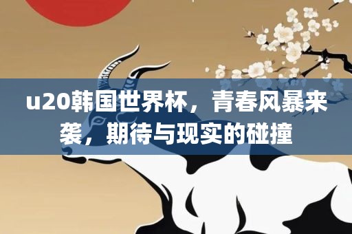 u20韩国世界杯，青春风暴来袭，期待与现实的碰撞