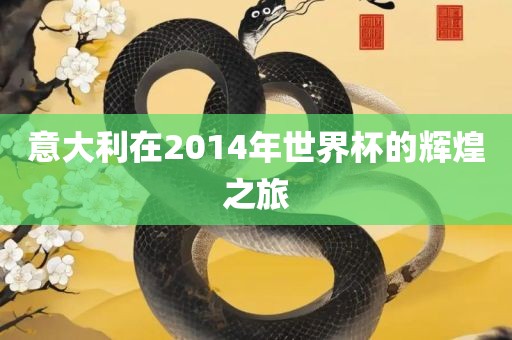 意大利在2014年世界杯的辉煌之旅