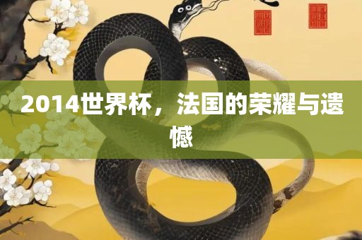 2014世界杯，法国的荣耀与遗憾