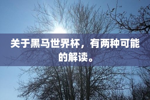 关于黑马世界杯，有两种可能的解读。