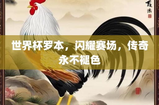 世界杯罗本，闪耀赛场，传奇永不褪色