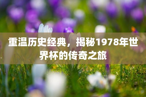 重温历史经典，揭秘1978年世界杯的传奇之旅
