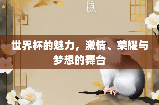 世界杯的魅力，激情、荣耀与梦想的舞台