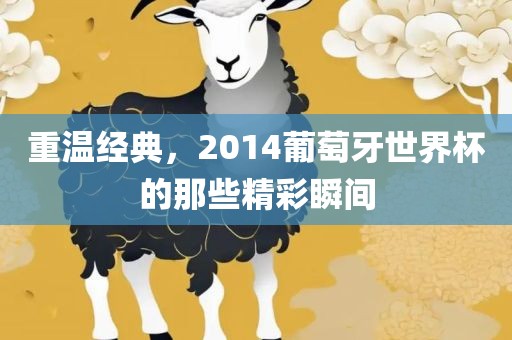 重温经典，2014葡萄牙世界杯的那些精彩瞬间