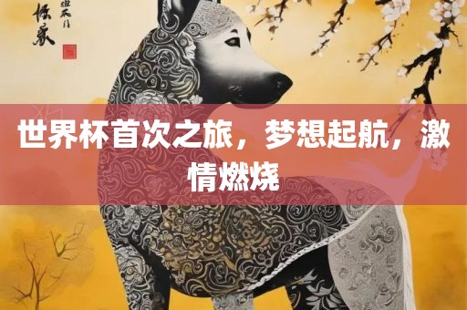 世界杯首次之旅，梦想起航，激情燃烧