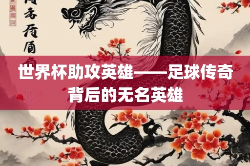 世界杯助攻英雄——足球传奇背后的无名英雄