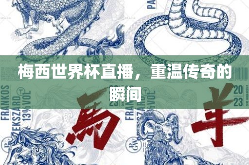 梅西世界杯直播，重温传奇的瞬间