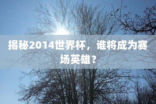 揭秘2014世界杯，谁将成为赛场英雄？
