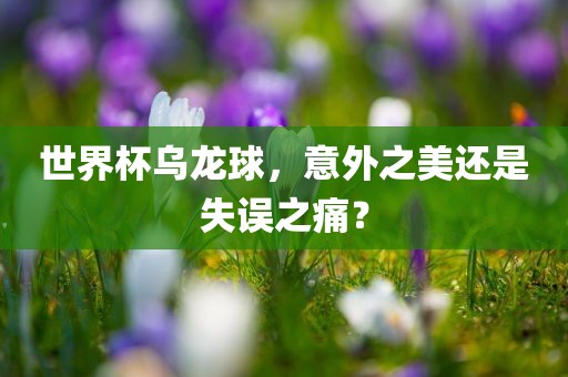 世界杯乌龙球，意外之美还是失误之痛？