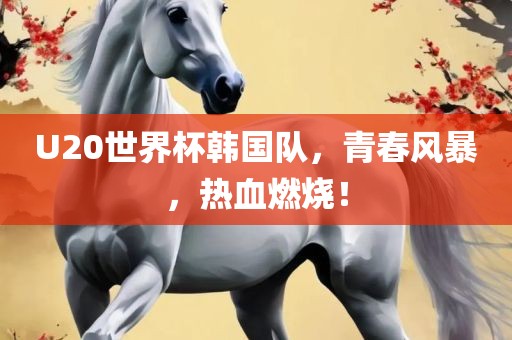 U20世界杯韩国队，青春风暴，热血燃烧！