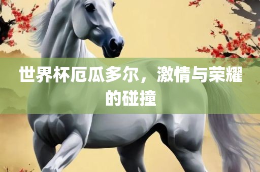 世界杯厄瓜多尔，激情与荣耀的碰撞