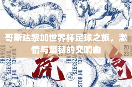 哥斯达黎加世界杯足球之旅，激情与坚韧的交响曲