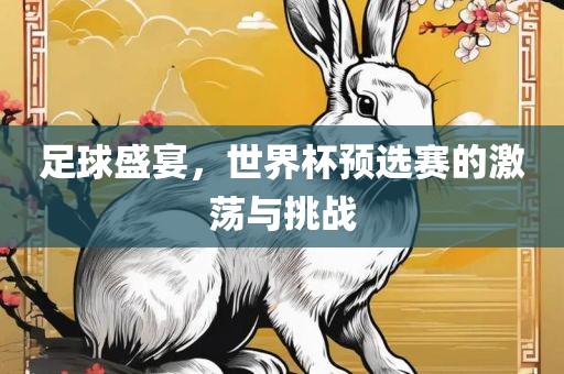足球盛宴，世界杯预选赛的激荡与挑战