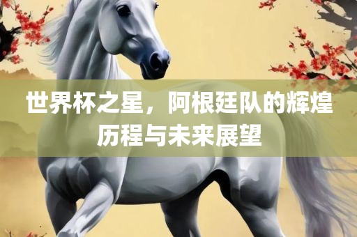 世界杯之星，阿根廷队的辉煌历程与未来展望