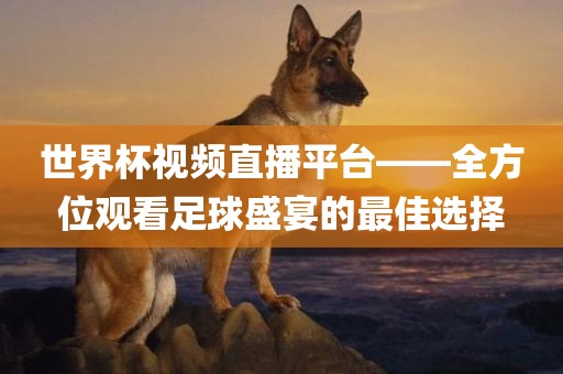 世界杯视频直播平台——全方位观看足球盛宴的最佳选择