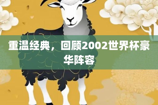 重温经典，回顾2002世界杯豪华阵容