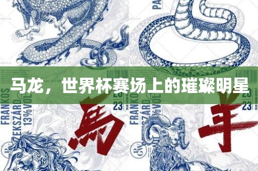 马龙，世界杯赛场上的璀璨明星