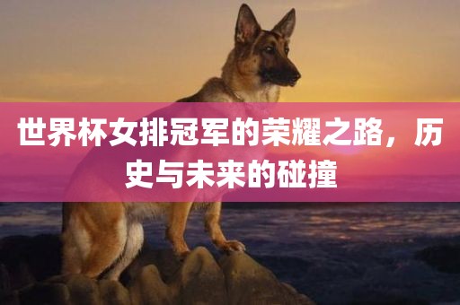 世界杯女排冠军的荣耀之路，历史与未来的碰撞