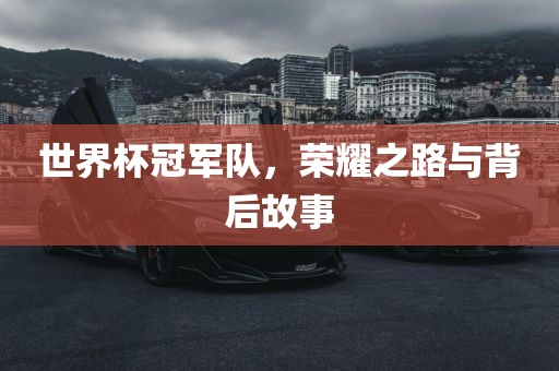 世界杯冠军队，荣耀之路与背后故事