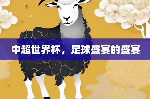中超世界杯，足球盛宴的盛宴