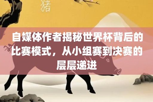 自媒体作者揭秘世界杯背后的比赛模式，从小组赛到决赛的层层递进